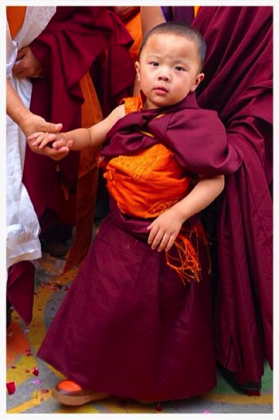 Un piccolo reincarnato riconosciuto in Cina. La storia di Penor Rinpoche e della trasmissione Nam Cho