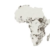 Analizzando la visione del presidente Putin sulle relazioni russo-africane
