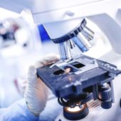 La Russia consegna il dossier sulle armi biologiche in Ucraina agli esperti internazionali