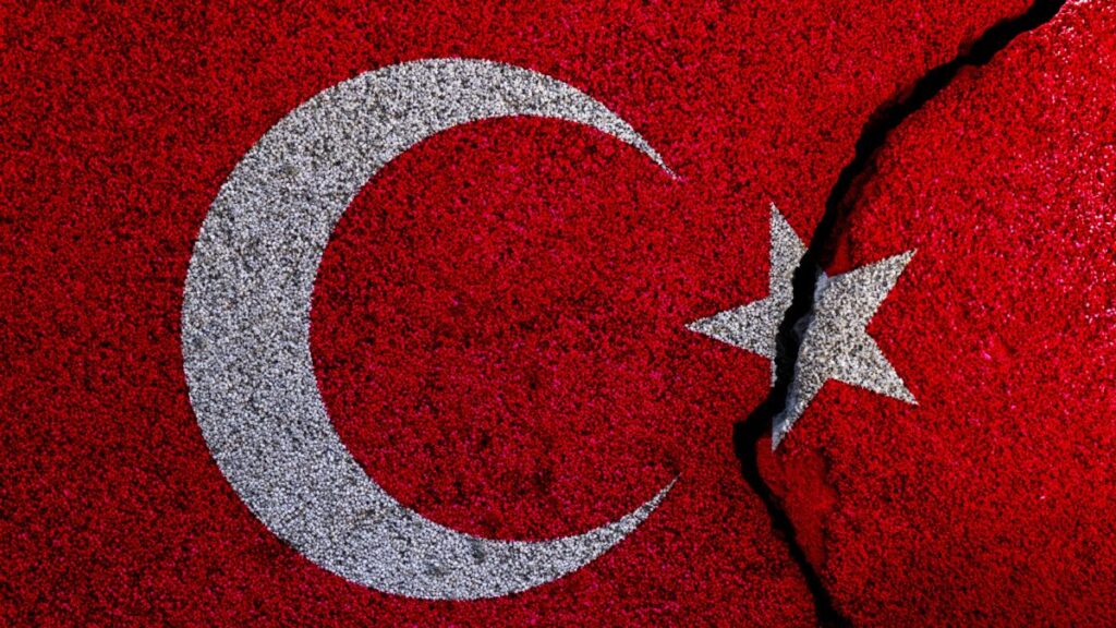 LA TURCHIA DI FRONTE AL TERREMOTO: UN AGGIORNAMENTO